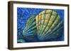 Alaskan Seashells-Megan Aroon Duncanson-Framed Art Print