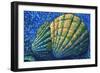 Alaskan Seashells-Megan Aroon Duncanson-Framed Art Print