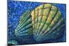 Alaskan Seashells-Megan Aroon Duncanson-Mounted Art Print