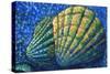 Alaskan Seashells-Megan Aroon Duncanson-Stretched Canvas