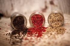 Black, Red, and White Pepper Corns in Rustic Mason Jars-Alastair Macpherson-Photographic Print