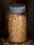 Star Anise and Red Pepper Corns around a Rustic Mason Jar-Alastair Macpherson-Stretched Canvas