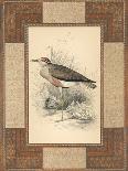 Marshland Bittern-Alastair Reynolds-Art Print