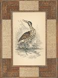 Marshland Bittern-Alastair Reynolds-Art Print