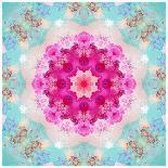 A Mandala from Flowers in Vintage Pastel Tones-Alaya Gadeh-Photographic Print