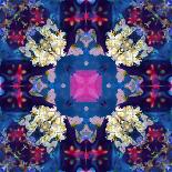 A Floral Montage-Alaya Gadeh-Photographic Print
