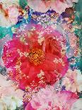 Mandala Ornament of Flowers, Composing-Alaya Gadeh-Photographic Print