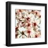 Alba Prunus-null-Framed Art Print