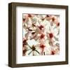 Alba Prunus-null-Framed Art Print