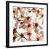 Alba Prunus-null-Framed Art Print