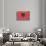 Albania Country Flag - Barnwood Painting-Lantern Press-Art Print displayed on a wall