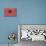 Albania Country Flag - Barnwood Painting-Lantern Press-Mounted Art Print displayed on a wall