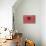 Albania Country Flag - Barnwood Painting-Lantern Press-Stretched Canvas displayed on a wall