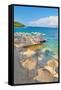 Canvas Black