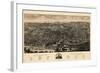 Albany 1879 Bird's Eye View-null-Framed Giclee Print