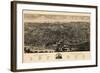 Albany 1879 Bird's Eye View-null-Framed Giclee Print