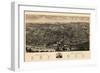 Albany 1879 Bird's Eye View-null-Framed Giclee Print