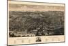 Albany 1879 Bird's Eye View-null-Mounted Giclee Print