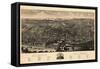 Albany 1879 Bird's Eye View-null-Framed Stretched Canvas