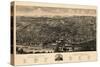 Albany 1879 Bird's Eye View-null-Stretched Canvas