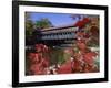 Albany Bridge Albany New Hampshire USA-null-Framed Photographic Print