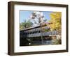 Albany Covered Bridge Over Swift River, Kangamagus Highway, New Hampshire, USA-Fraser Hall-Framed Photographic Print