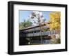 Albany Covered Bridge Over Swift River, Kangamagus Highway, New Hampshire, USA-Fraser Hall-Framed Photographic Print