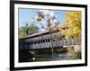 Albany Covered Bridge Over Swift River, Kangamagus Highway, New Hampshire, USA-Fraser Hall-Framed Photographic Print