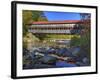 Albany Covered Bridge Over Swift River, White Mountain National Forest, New Hampshire, USA-Adam Jones-Framed Photographic Print