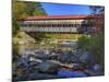 Albany Covered Bridge Over Swift River, White Mountain National Forest, New Hampshire, USA-Adam Jones-Mounted Photographic Print