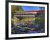 Albany Covered Bridge Over Swift River, White Mountain National Forest, New Hampshire, USA-Adam Jones-Framed Photographic Print