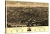 Albany, New York - Panoramic Map-Lantern Press-Stretched Canvas