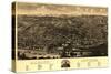 Albany, New York - Panoramic Map-Lantern Press-Stretched Canvas