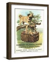 Albany Rubber House Advertisement-null-Framed Giclee Print