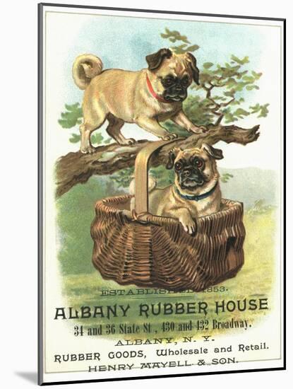 Albany Rubber House Advertisement-null-Mounted Giclee Print