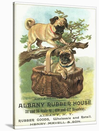 Albany Rubber House Advertisement-null-Stretched Canvas