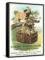 Albany Rubber House Advertisement-null-Framed Stretched Canvas