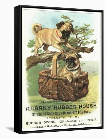 Albany Rubber House Advertisement-null-Framed Stretched Canvas