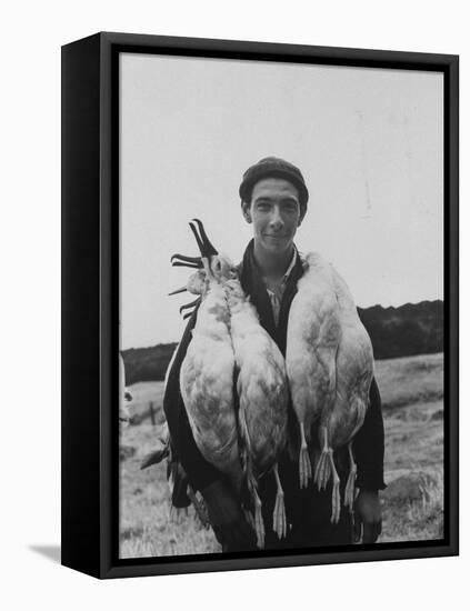 Albatross Killed for Food by Tristan Da Cunha Islander-Carl Mydans-Framed Stretched Canvas