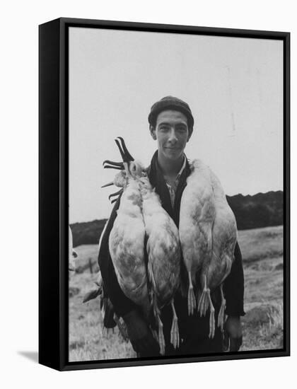 Albatross Killed for Food by Tristan Da Cunha Islander-Carl Mydans-Framed Stretched Canvas