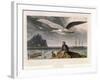 Albatross, Pub. London 1810-Thomas & William Daniell-Framed Giclee Print