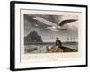 Albatross, Pub. London 1810-Thomas & William Daniell-Framed Giclee Print