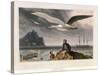 Albatross, Pub. London 1810-Thomas & William Daniell-Stretched Canvas