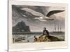 Albatross, Pub. London 1810-Thomas & William Daniell-Stretched Canvas