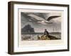 Albatross, Pub. London 1810-Thomas & William Daniell-Framed Giclee Print