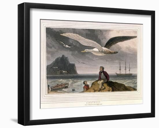 Albatross, Pub. London 1810-Thomas & William Daniell-Framed Giclee Print