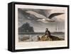 Albatross, Pub. London 1810-Thomas & William Daniell-Framed Stretched Canvas