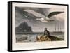 Albatross, Pub. London 1810-Thomas & William Daniell-Framed Stretched Canvas