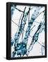 Essential Black