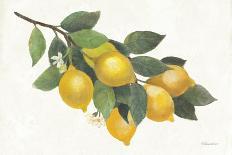 Lemon Branch I-Albena Hristova-Art Print